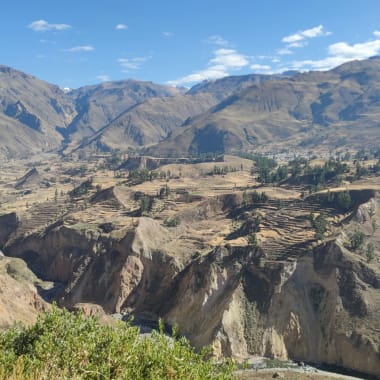 Dry, rugged Colca Canyon in Peru with steep cliffs and sparse vegetation under a clear blue sky.