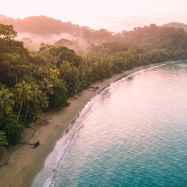 Tropischer Regenwald trifft auf Pazifikstrand bei Drake Bay auf der Osa-Halbinsel Costa Rica im Morgennebel
