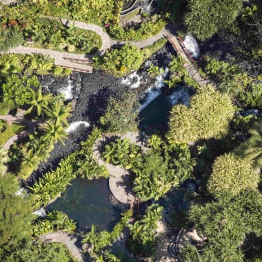 Aerial view of Tabacón Thermal Resort and Spa showing lush greenery, pathways, and small pools amidst dense tropical trees.