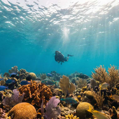 Taucher schwebt ueber buntem Korallenriff im tuerkisblauen Karibikwasser vor Providencia — Tauchen Kolumbien