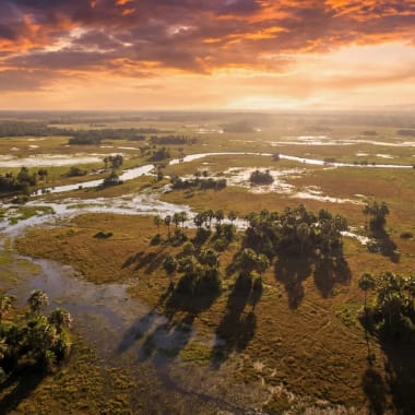 Panoramablick ueber die gruene Weite des Pantanal mit Wasserlaeufen und vereinzelten Palmen bei goldenem Abendlicht — beste Reisezeit Brasilien