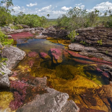 Bunter Fluss Cano Cristales in Kolumbien mit leuchtend roten, gelben und grünen Wasserpflanzen, umgeben von felsigem Gelände und üppiger Vegetation unter teilweise bewölktem Himmel.