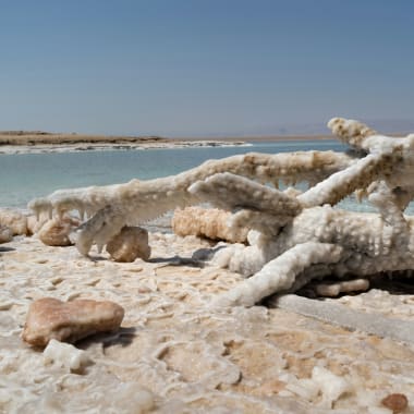Salt formations and salt-encrusted driftwood on the shore of the Dead Sea with a clear sky.