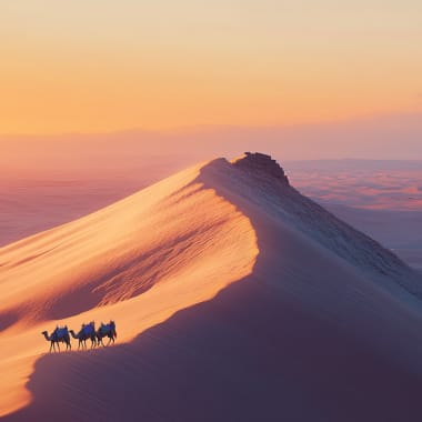 Kamele reiten auf einer schneebedeckten Düne bei Sonnenuntergang in der Sahara.