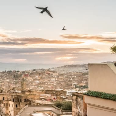 View of a cityscape at sunset with two birds flying in the sky and a rooftop terrace featuring outdoor furniture and a small palm plant.