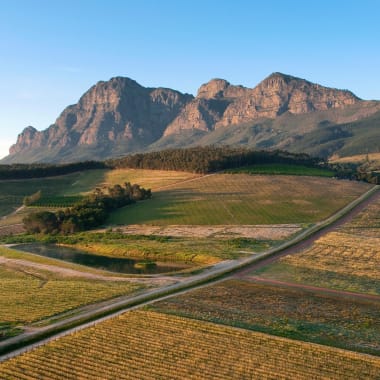 Ein malerischer Blick auf sanfte Weinberge in den Winelands, Südafrika, mit Bergen im Hintergrund bei Tageslicht.