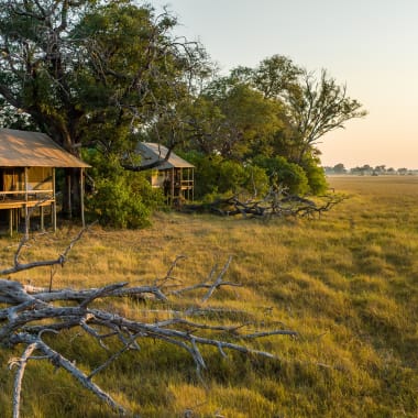 Zwei rustikale Zelte auf Stelzen, umgeben von Pflanzen in einer weiten offenen Graslandschaft bei Sonnenuntergang in Botswana.