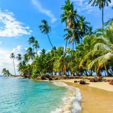 A tropical sandy beach with palm trees along the coastline under a blue sky.