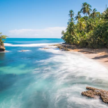Tropical beach with palm trees and rocks along the shoreline under a clear blue sky.