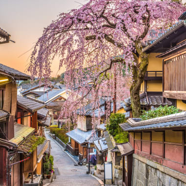  Charmante Straße im historischen Zentrum Higashiyama in Kyoto während des Frühlings mit einer blühenden Kirschblütenbaum.