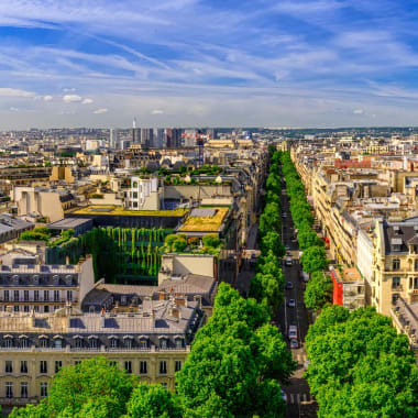 Panoramablick auf Paris mit dem Eiffelturm im Hintergrund, gesäumt von grünen Bäumen und klassischen Pariser Gebäuden.