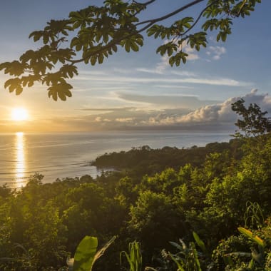 Sonnenuntergang über dem Meer, gesehen von einem üppigen Regenwald mit dichtem grünen Laub und Bäumen in Costa Rica.