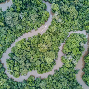 An aerial view of a winding river flowing through a dense, lush green forest in a wilderness area.