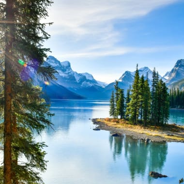 Bright sunlight filters through tall pine trees overlooking a serene lake with mountains in the background.