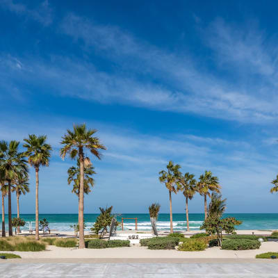 A tropical beach with tall palm trees, clear blue sky, and a calm ocean in the background, possibly at Nikki Beach Resort & Spa Dubai.