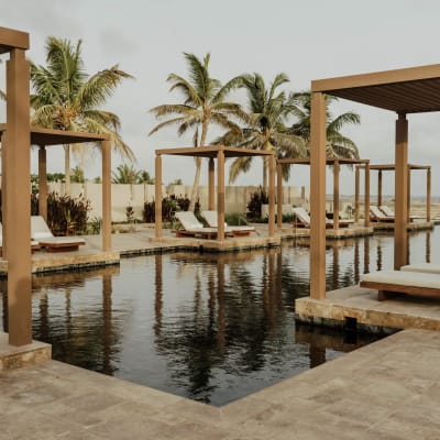 Alila Hinu Bay Hotel pool side with palm trees