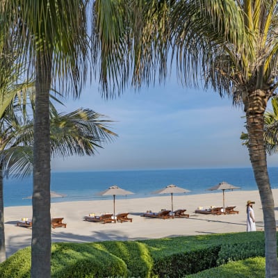 Luxury beach resort with sun loungers and umbrellas on the sandy shore, framed by palm trees with the ocean and sky in the background.