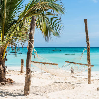 Haengematte zwischen zwei Baumstaemmen am weissen Strand und das blaue Meer im Hintergrund