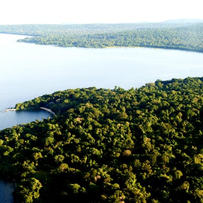 Der Lake Viktoria und die Ufer bedeckt mit Wald