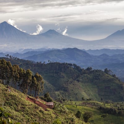 Ruanda Volcanoes Nationalpark Vulkan Landschaft