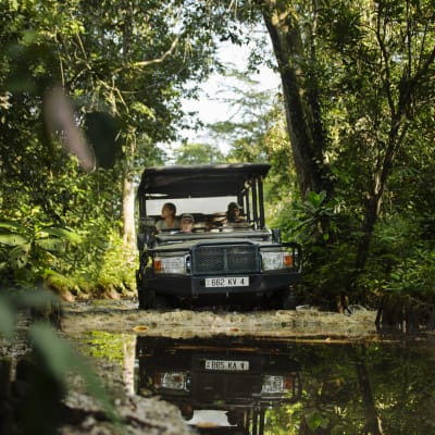 Tourists riding in an open vehicle on a forest trail in Odzala, Republic of the Congo.