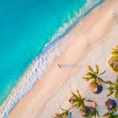 Vogelperspektive mit Blick aufs Meer und den Strand