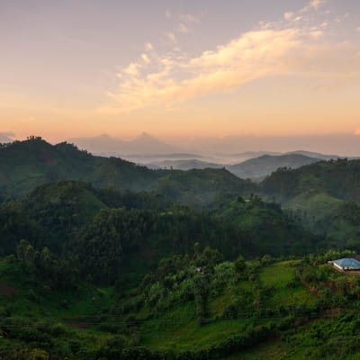 Sonnenaufgang über grünen Hügeln im Bwindi-Nationalpark, Uganda, mit einem kleinen Haus auf einem Hügel.