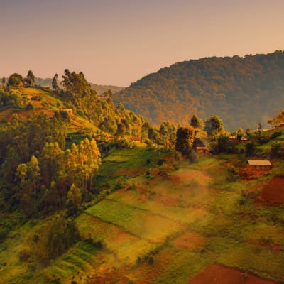 Bergige Landschaft in Uganda
