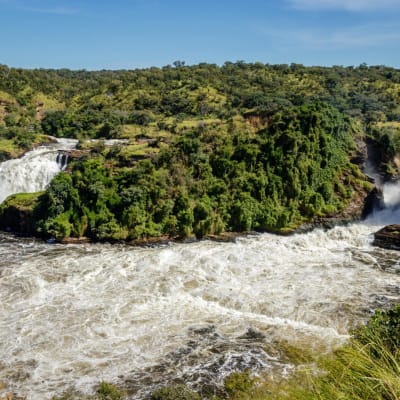 Der Murchison Wasserfall und Wald