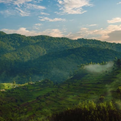 Aussicht auf den Bwindi Nationalpark