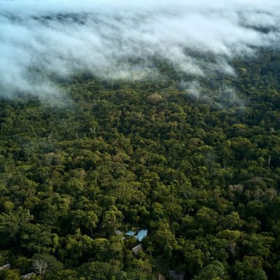 Aerial view of a dense Amazon rainforest with a few buildings and clouds overhead.