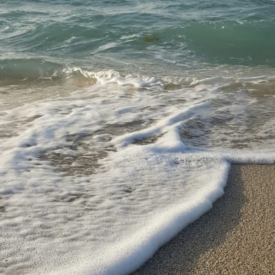 Waves gently crashing onto a sandy beach during daytime.