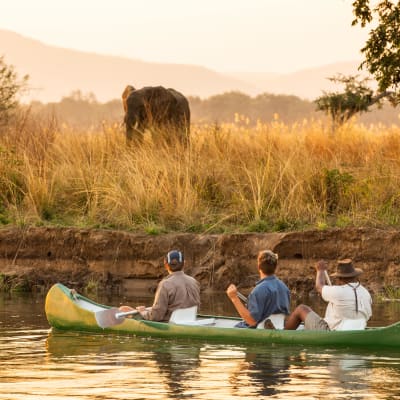 Three people in a green canoe observe an elephant on the riverbank at sunset.