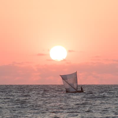 Ein kleines traditionelles Dhow-Boot segelt bei Sonnenuntergang auf dem Meer, mit einem rosafarbenen Himmel.
