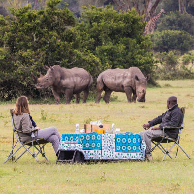 Zwei Personen frühstücken in der Wildnis und beobachten dabei zwei Nashörner