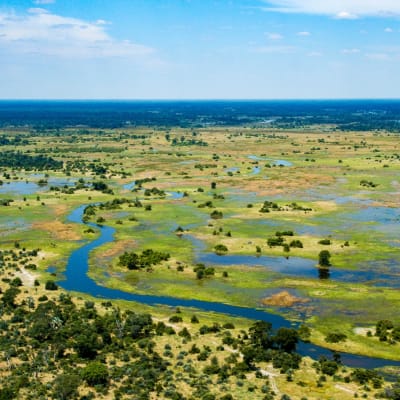 Okavango Delta Region 