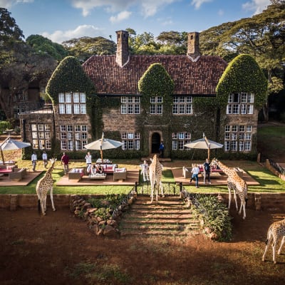 Gutshaus mit Terrasse und Giraffen