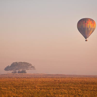 A hot air balloon floating above the open plains of Busanga in Zambia during sunrise or sunset.