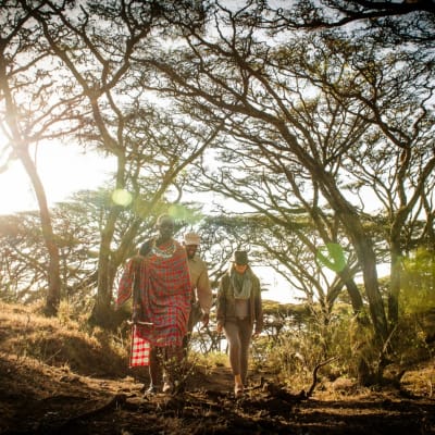 Two Maasai people walking through a sunlit forested area with tall, sparse trees, during a bushwalk in Ngorongoro Crater, Tanzania.