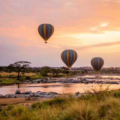 Three hot air balloons floating over the Serengeti plains at sunset with trees and a river below.