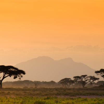 Kenianische Landschaft bei Sonnenuntergang