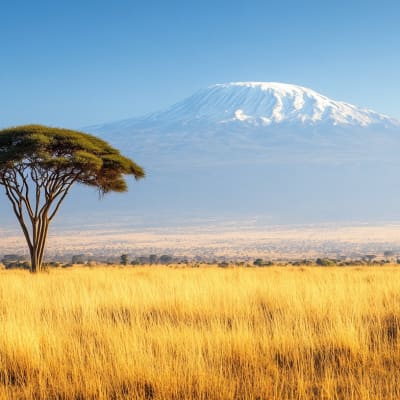 A scenic view of a savannah with two acacia trees and Mount Kilimanjaro in the background under a clear blue sky.