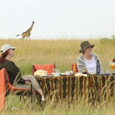 Frühstück in der Wildnis mit einer Giraffe im Hintergrund