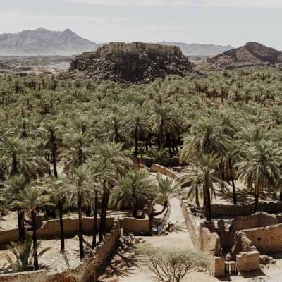 an aerial view of a deserted village with palm trees.