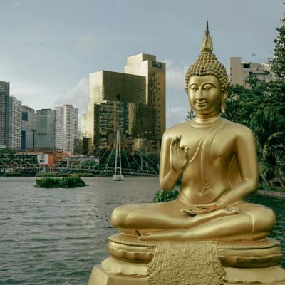 A golden Buddha statue seated in meditation with the city skyline of Colombo in the background.