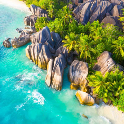 Tropischer Strand mit großen Granitfelsen, üppigen grünen Palmen und klarem türkisfarbenem Wasser.