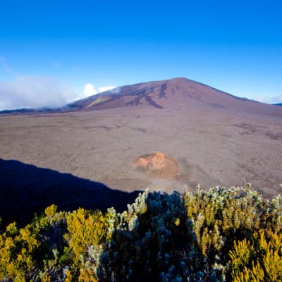 Ein vulkanischer Berg mit großem Krater und rauem Lavagelände unter klarem blauem Himmel, aus der Entfernung mit grünen Sträuchern im Vordergrund gesehen.