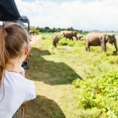 Ein junges Mädchen, das aus einem Safarifahrzeug herausblickt und Elefanten in der Ferne beobachtet.