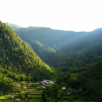 Üppige grüne Berge umgeben ein kleines Dorf mit terrassierten Feldern in Bhutan.