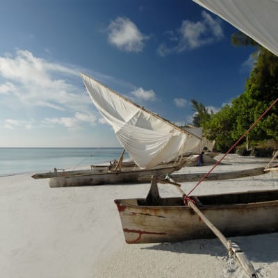 Mehrere kleine Boote mit Segeln sind an einem weißen Sandstrand verankert, in der Nähe grüner Bäume, unter einem bewölkten Himmel.